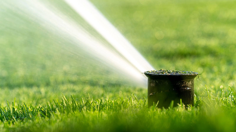 Sprinkler head with water shooting out of it.