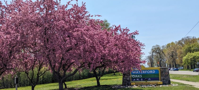 waterford oaks