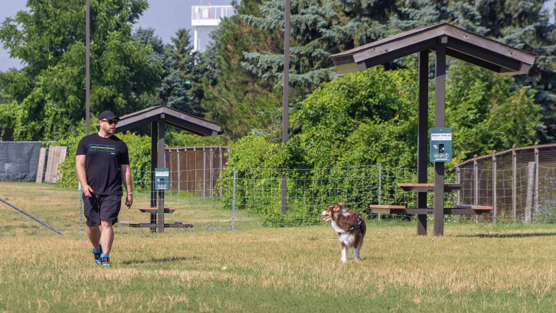 A person with a black shirt and hat and a brown and white dog walking at Red Oaks Dog Park.