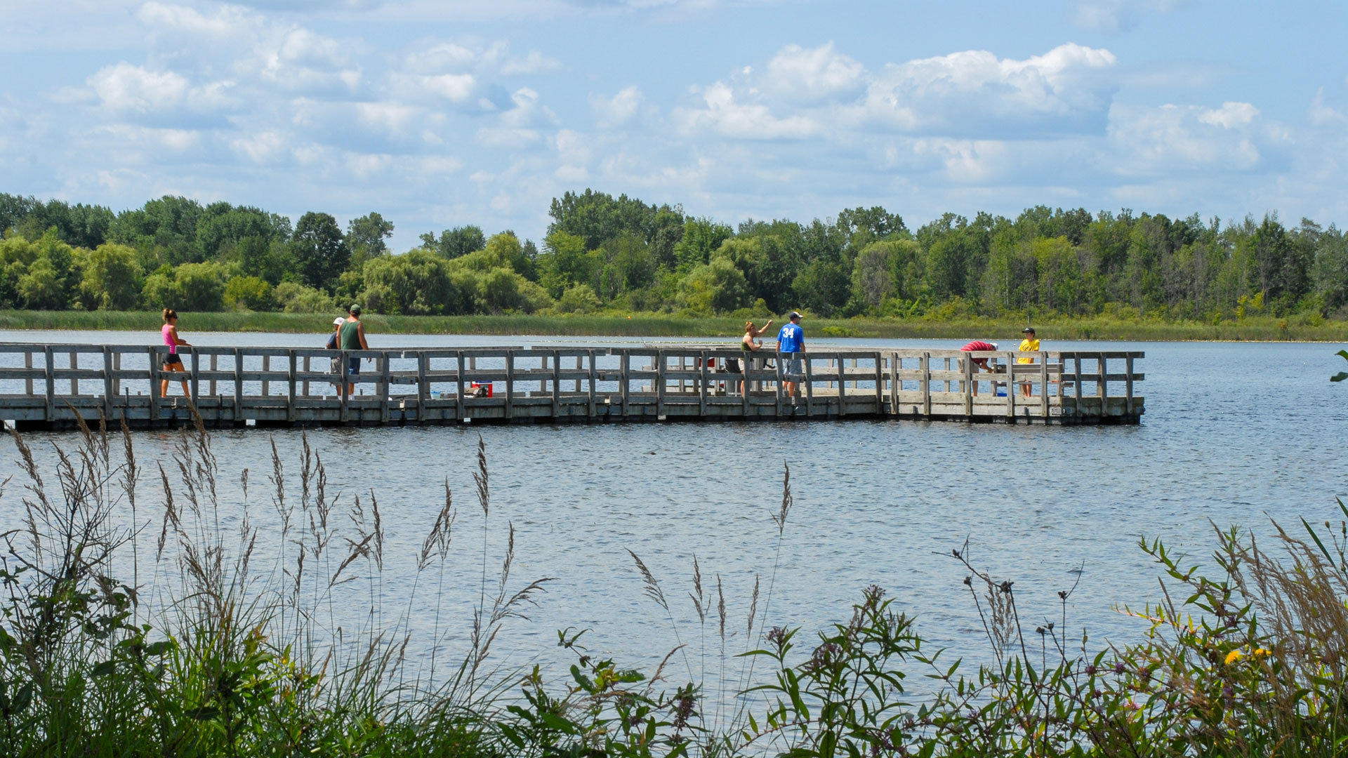 People fishing at Orion Oaks County Park.