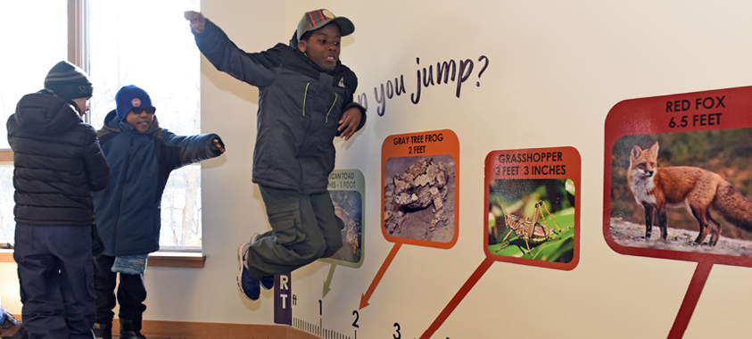 A cub scout leaps into the air to see how far he can jump. He looks at the wall next to him, which show the marks for how far different animals and insects can jump.
