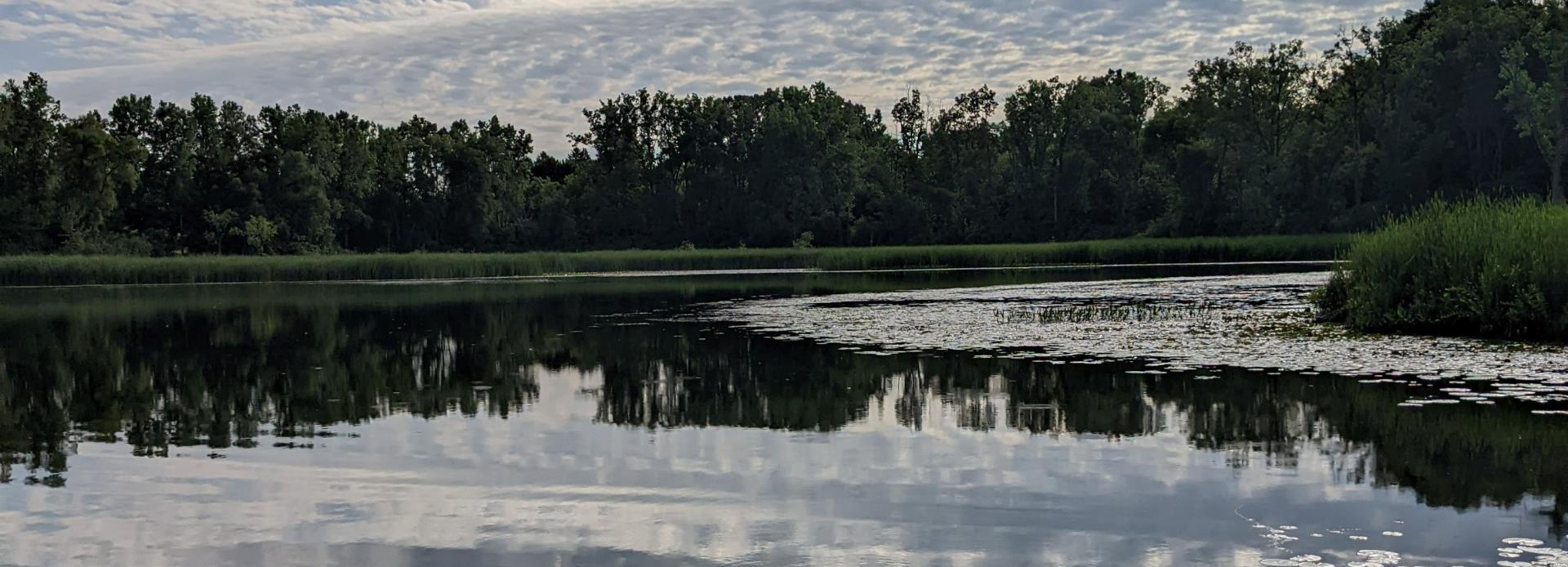 Hawthorne Park view of Creger Lake